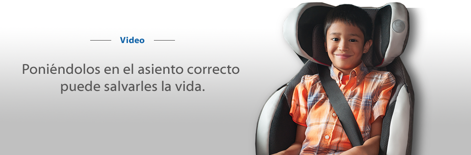Adults must be buckled in the backseat, too.